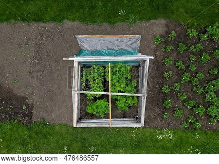 Foil Greenhouse For Growing Vegetables Simply Made From Shrink Wrap For Food Packaging Used For Grow