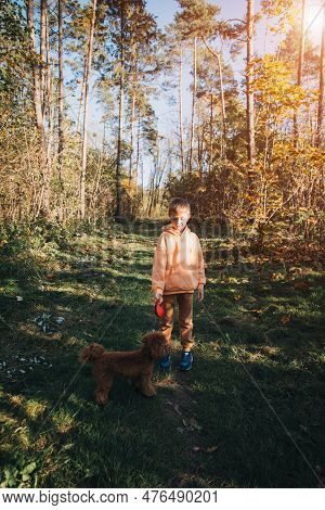 A Boy With A Small Brown Dog Walks In A Park. Leisure With A Pet In Nature. Front View