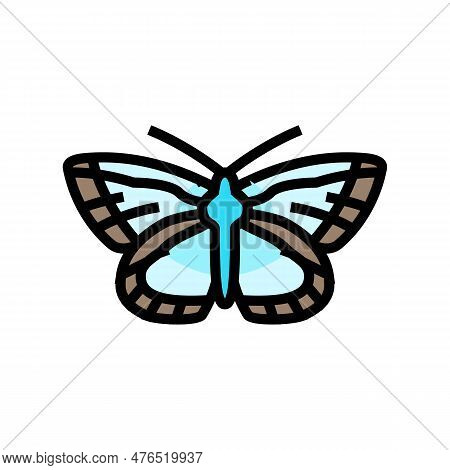 Chalk Hill Blue Spring Color Icon Vector. Chalk Hill Blue Spring Sign. Isolated Symbol Illustration