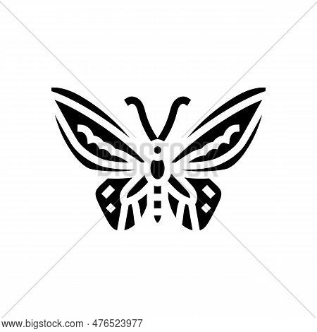 Cape York Birdwing Insect Glyph Icon Vector. Cape York Birdwing Insect Sign. Isolated Symbol Illustr