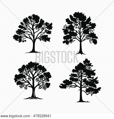Tree Silhouettes On White Background. Vector Illustration
