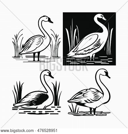 Set Of Black Silhouette Swan Largest Flying Bird Swim On Water Cartoon Animal Design Flat Vector Ill