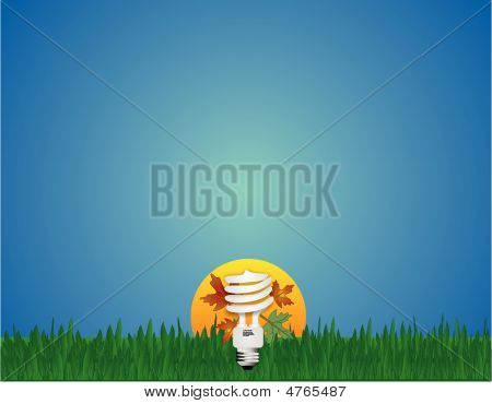 Go Green Light Cfl Bulb
