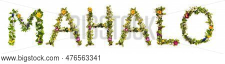 Colorful Flowers Building Word Mahalo, Isolated Background