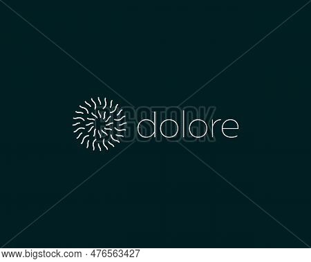 Abstract Explosion Logo. Firework Flat Logotype. Abstract Vortex Icon. Vector Illustration.