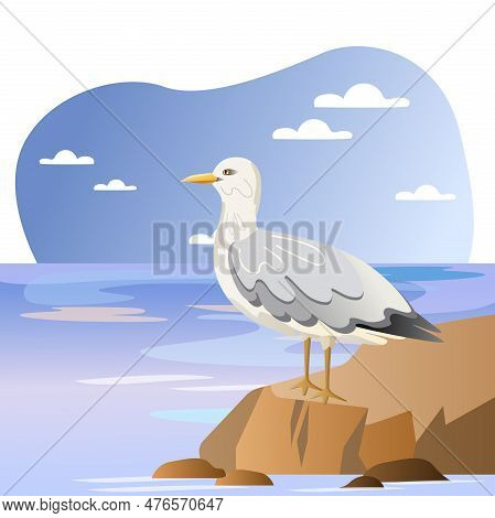 Seagull Illustration. Bird, Cliff, Water, Beak. Editable Vector Graphic Design.