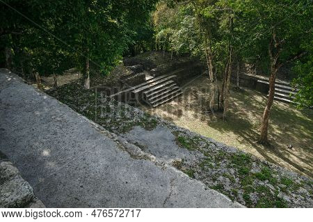 Tropical Lush Trees Covering The Maya Ruins 'cahal Pech' In San Ignacio, Belize