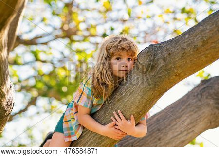 Little Child Boy Trying To Climb A Tree. Kids Climbing A Tree. Happy Boy Enjoying Summer Day In A Ga