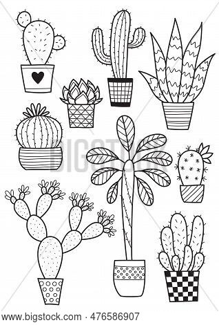 Doodle Coloring Book Page Cacti. Antistress For Adults. Black And White Illiustration