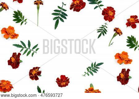 Marigold ( Tagetes ) Flowers  On A White Background With Space For Text. Top View, Flat Lay