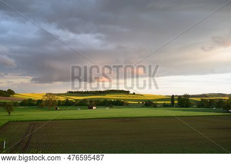 Yellow Blooming Fields With Dusk Clouds Above