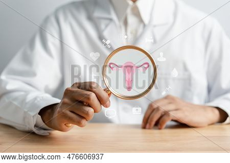 Doctor In A White Coat Holding Virtual Uterus Reproductive System , Woman Health, Pcos, Ovary Gyneco