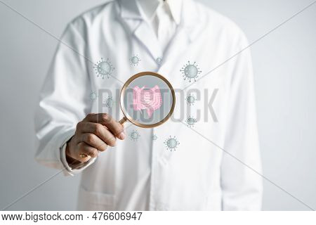 Doctor In A White Coat Hands Holding Magnifier Focus Stomach With Intestine Virtual Icon, Probiotics