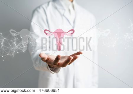 Doctor In A White Coat Holding Virtual Uterus Reproductive System , Woman Health, Pcos, Ovary Gyneco