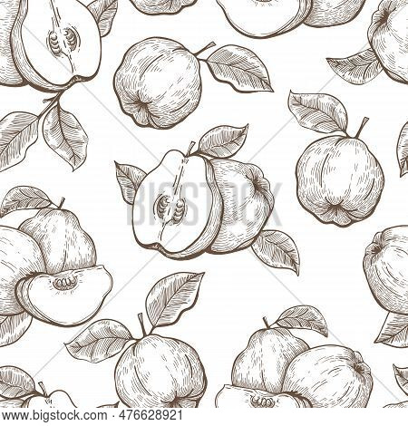 Engraved Quince Pattern. Engraving Quinces Fruits Retro Seamless Background Vintage Vector Illustrat