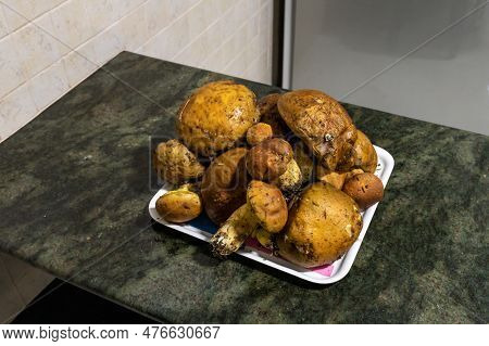 A Bunch Of Freshly Picked Young Edible Mushrooms - Leccinellum Lepidum - Lies On A Tray, On The Kitc