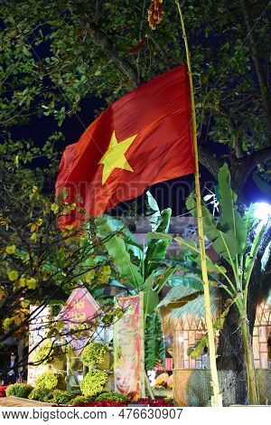 Vietnamese National Flag On A Bamboo Branch At Night In Vietnam