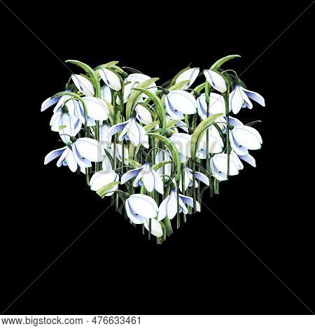 Watercolor Snowdrops. Botanical Illustration Of Flowers. Watercolor Illustration Of A Heart-shaped B