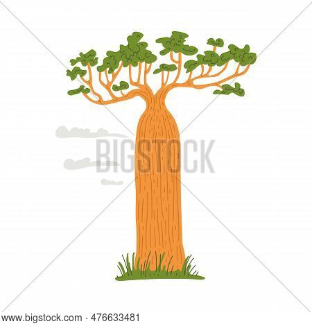 Baobab Or Monkey-bread Tree Of African Savanna Flat Vector Illustration Isolated.
