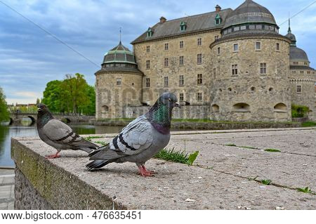 Pigeon Infront Of Orebro Castle Orebro Sweden May 15 2023