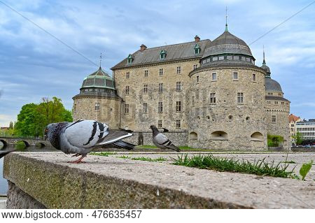 Pigeon Infront Of Orebro Castle Orebro Sweden May 15 2023