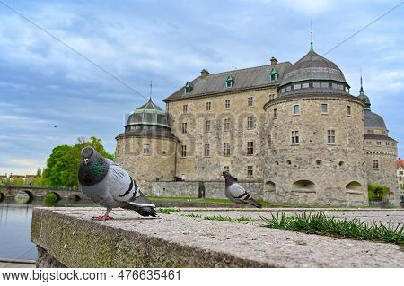 Pigeon Infront Of Orebro Castle Orebro Sweden May 15 2023