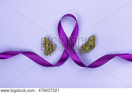 The Symbol Of The Day Of Epilepsy From A Purple Ribbon, Along The Edges Of It Are Dry Buds Of Medica