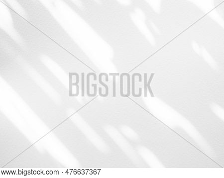 Shadow Background,abstract Light White On Wall Floor,overlay Sunlight Plant Leaf Minimal Mockup,gray