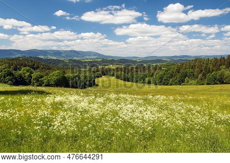 The Foothills Of The Jeseníky Mountains With A View Of Kralicky Sneznik
