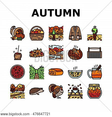 Autumn Season Fall Leaf Nature Icons Set Vector. Orange Foliage, Banner Maple, Element Red, Sale Pla