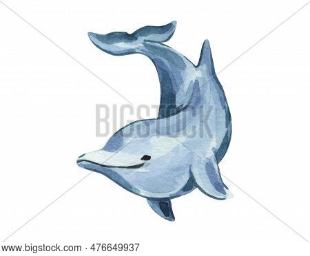 Watercolor Illustration With Blue Dolphin. Isolated Dolphin On A White Background. Sea Inhabitants