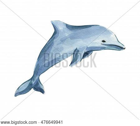 Watercolor Illustration With Blue Dolphin. Isolated Dolphin On A White Background. Sea Inhabitants