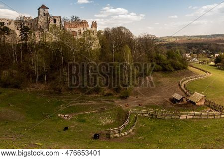 Tenczyn Castle - The Ruins Of A Castle Located In The Jura Krakowsko-częstochowska, Included In The 