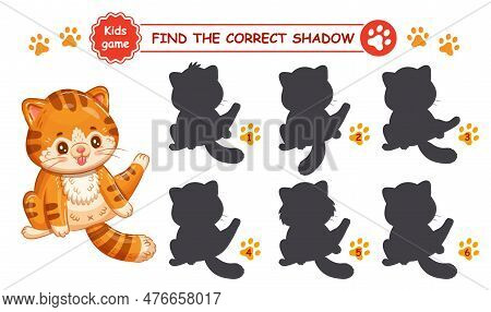 Cute Red Cat Sit With Paw Up, Find Correct Shadow Shape. Education Match Children Game. Funny Little