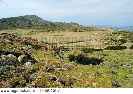 View Of The Campo Perdu Place, Asinara, Porto Torres