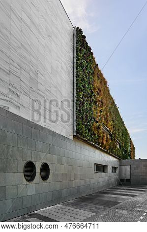 Nature In The Heights: A Vertical Garden Adorns An Impressive Building