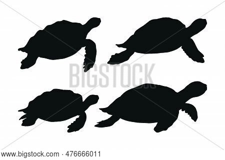 Cute Turtle Walking And Swimming Silhouette Bundle Design. Turtle In Different Positions Silhouette 