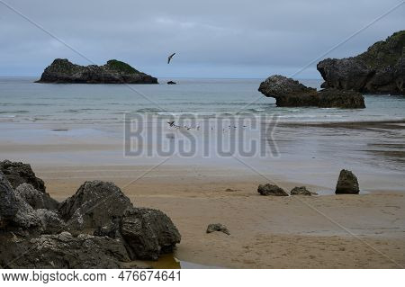 View On Playa De Palombina Las Camaras In Celorio, Green Coast Of Asturias, North Spain With Sandy B