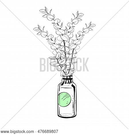 Vector Illustration Of Bottle With Label And Bouquet Of Eucaliptus Stems. Black Outline Of Container