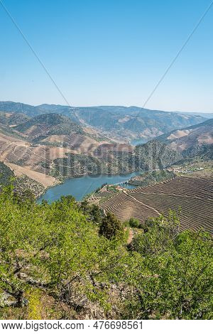 Viewpoint Of Vargelas Allows To See A Vast Landscape On The Douro And Its Man-made Slopes. Douro Reg