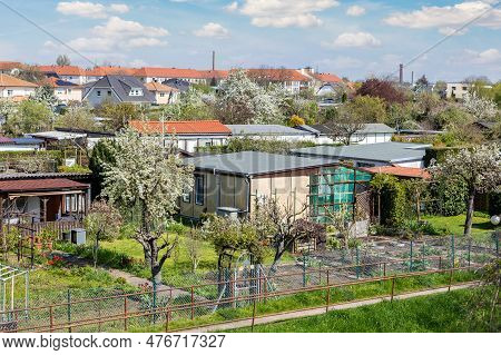 Many Traditional German Small Garden Allotment Area With Huts, Tree Flower Vegetable Growing At Warm