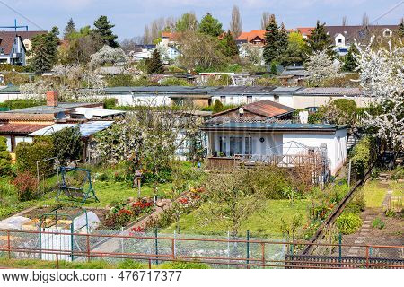 Many Traditional German Small Garden Allotment Area With Huts, Tree Flower Vegetable Growing At Warm