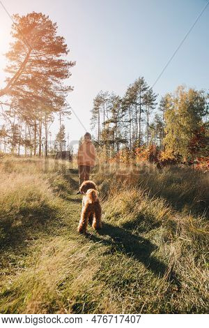 A Boy With A Small Brown Dog Walks In A Park. Leisure With A Pet In Nature. Front View