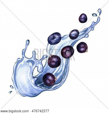 Acai Berries On Water Splash Watercolor Illustration Isolated On White. Exotic Amazon Small Purple B