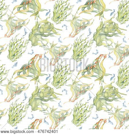 Seamless Pattern Of Colorful Sea Plants Watercolor Illustration Isolated On White. Laminaria, Kelp, 
