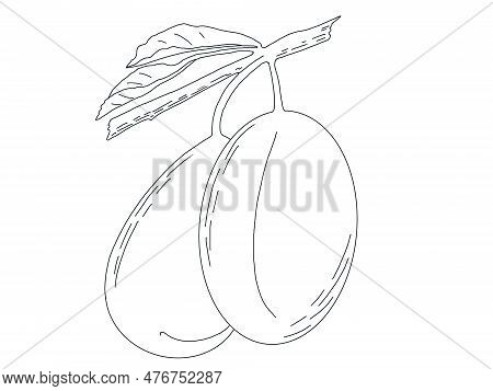 Linart Illustration Of Berries, Hand-drawn Digital Ink. Isolates, Single Element. Suitable For The D