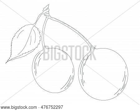 Linart Illustration Of Berries, Hand-drawn Digital Ink. Isolates, Single Element. Suitable For The D