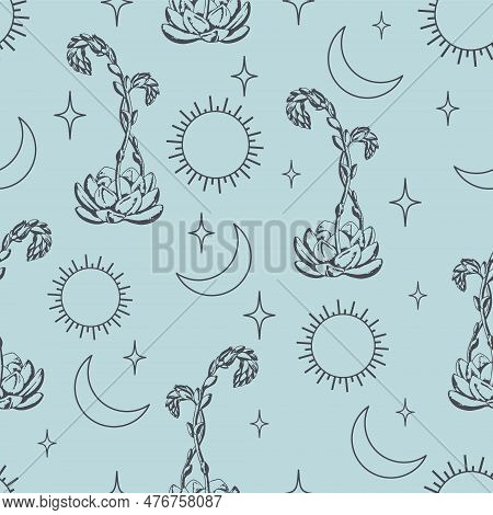 Seamless Aesthetic Pattern With Blossom Cactus On Desert. Print On Light Blue Heavenly Elements Back