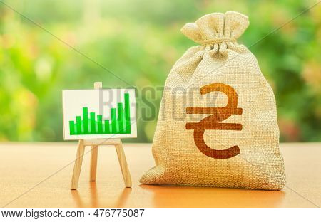 Ukrainian Hryvnia Money Bag And Growing Chart Easel. Investments In Economy, Post-war Reconstruction