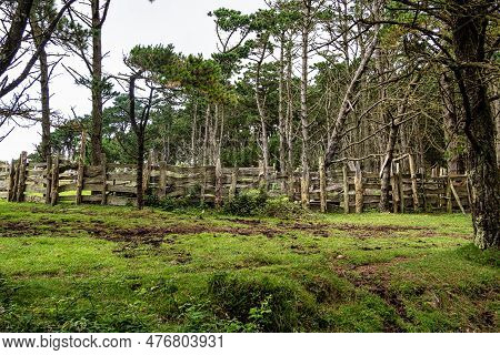 Galician Panorama Along The Road To San Andres De Teixido, A Coruna Province, Galicia. Ruta De La Mi